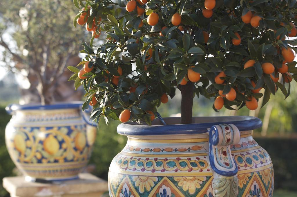 Villa Papardo 기아레 객실 사진